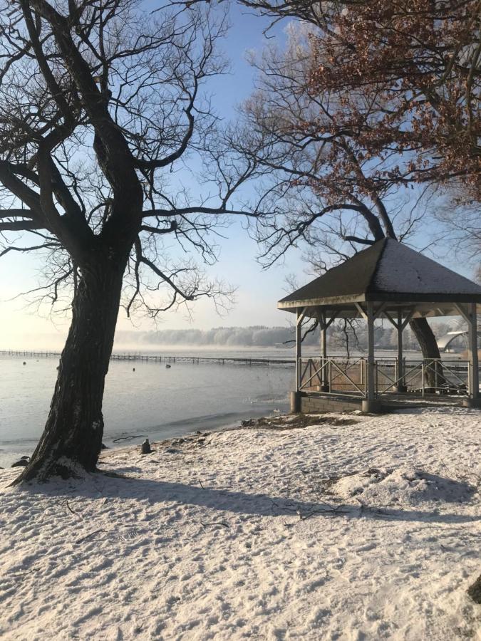 Drewniany Domek Nad Miedwiem Morzyczyn  Eksteriør bilde